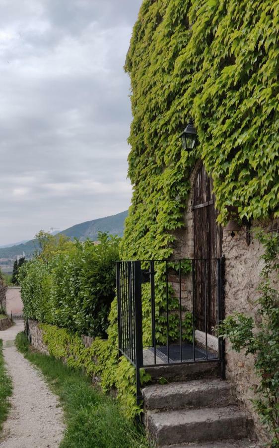 Апартаменти Giardino Degli Ulivi Капріно-Веронезе Екстер'єр фото